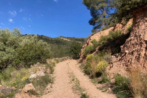 Landejendom i El Perello, Tarragona, El Perello - € 36.000 | Ref: Finca Montanas - foto 42